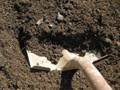 Подготовка почвы под плантацию малины