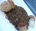 Приготовление грибного порошка