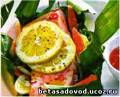Маринованный лосось
